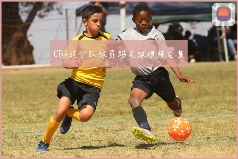 CBA辽宁队球员踢足球视频合集