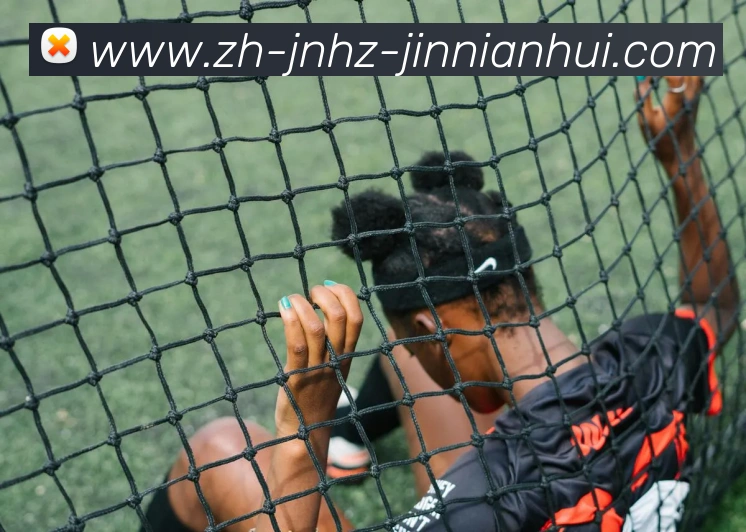 金年会体育APP 高清赛事图